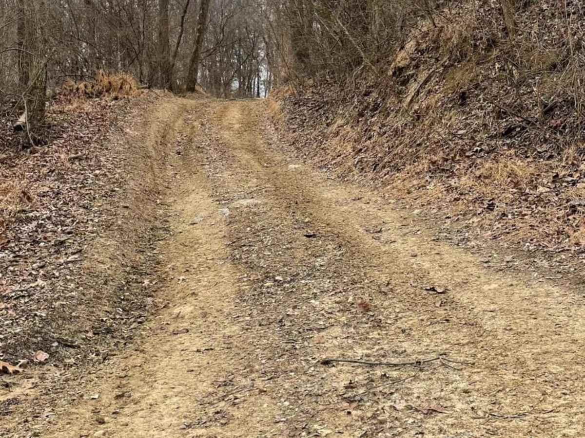 Redbird Trail 5x photo 3