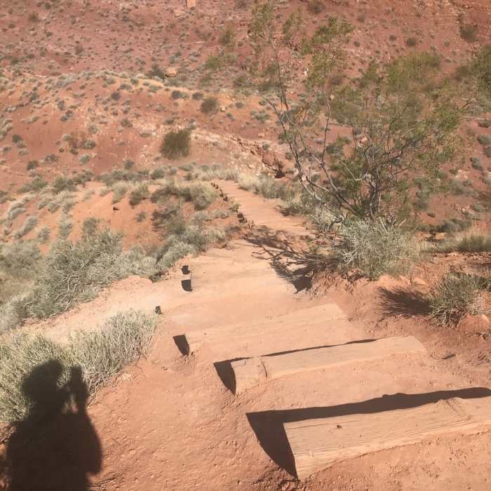 Near Scout Cave Trail