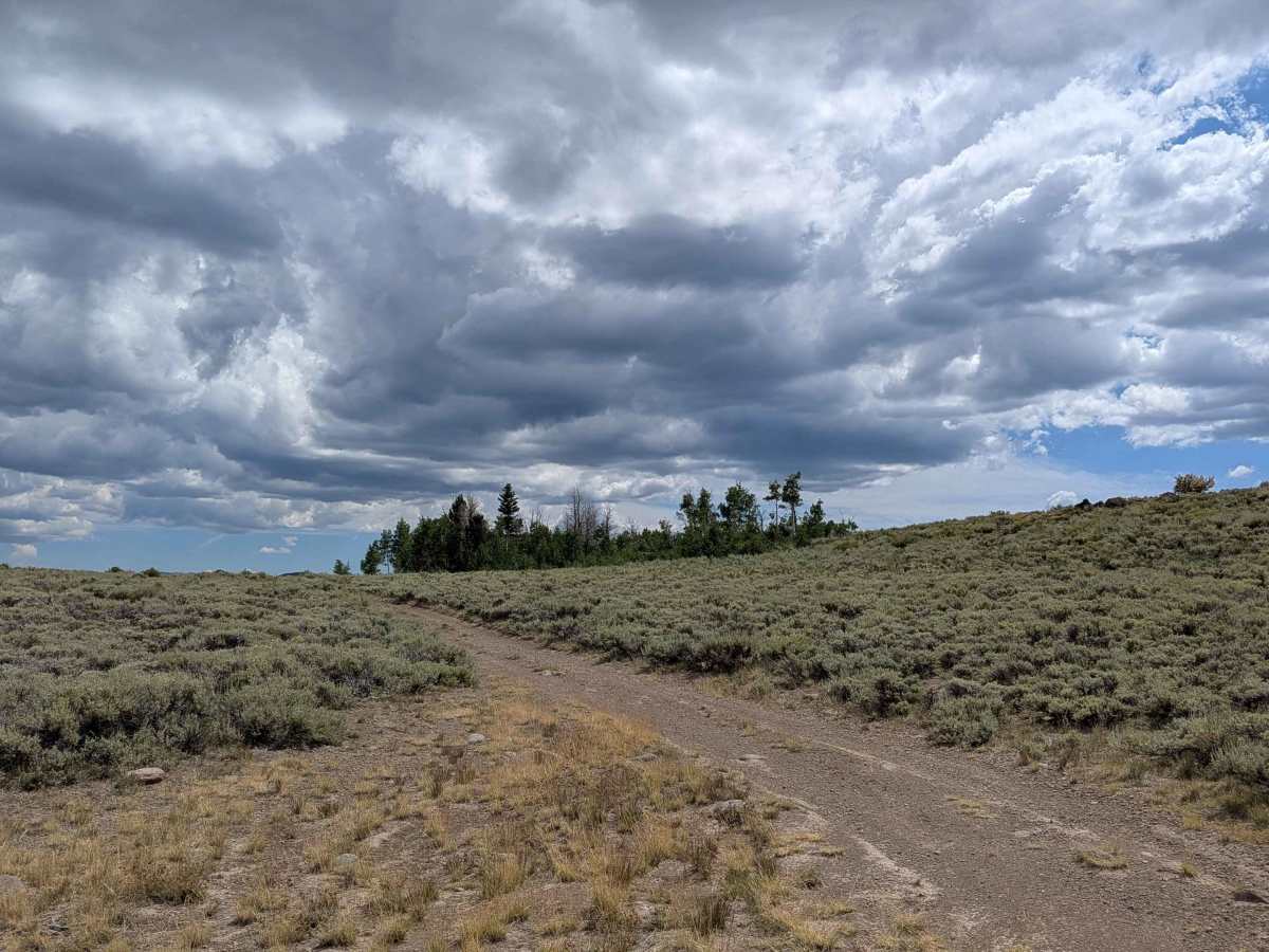Leviathan Bypass - FS 31353 trail photo