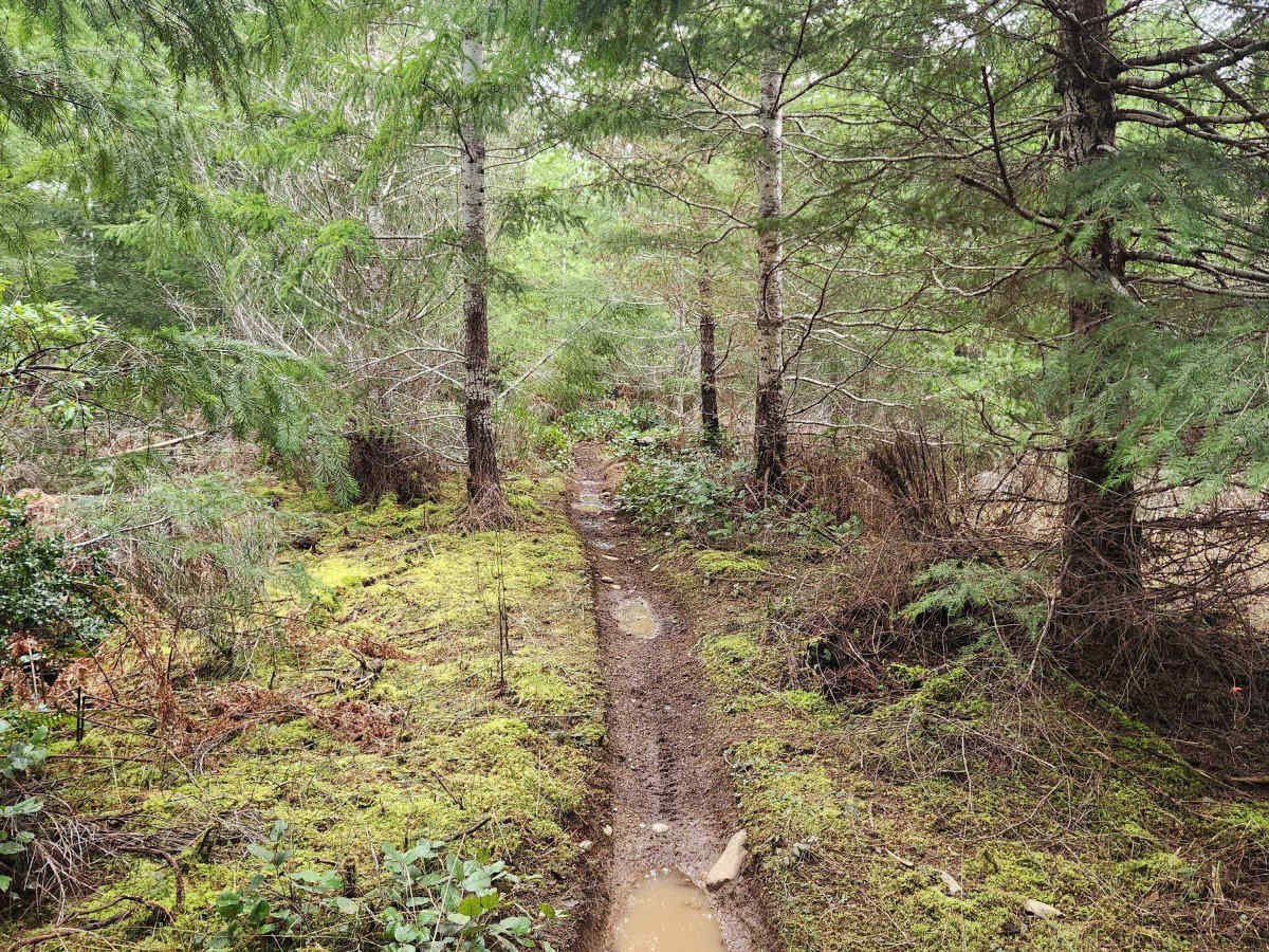 Apple Road photo 2