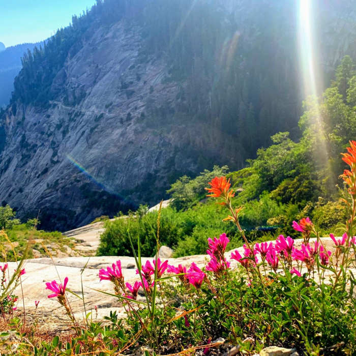 Near Crescent Meadow to Kaweah Gap