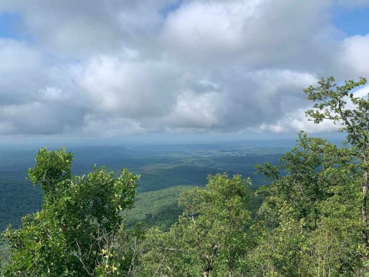 Pilot Knob Mountain trail photo