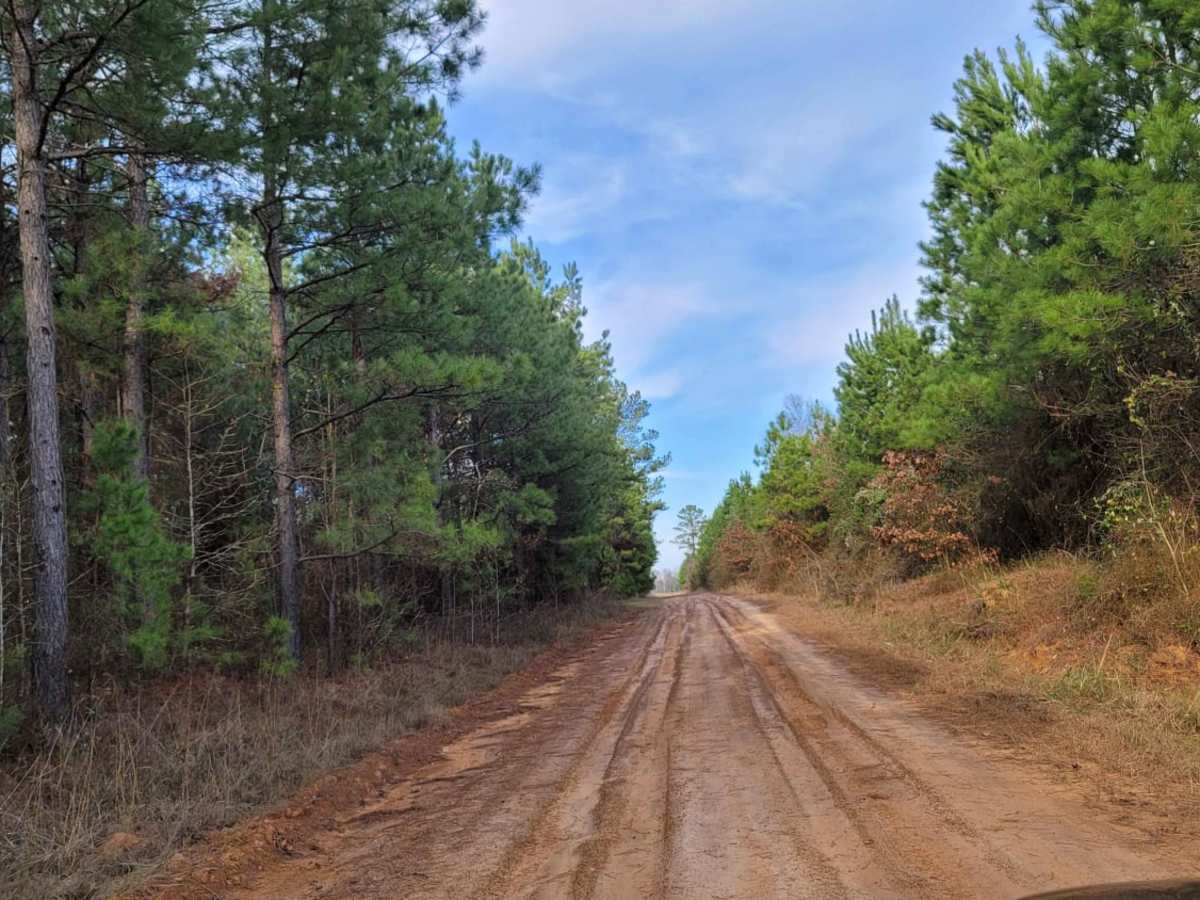The Dead End Barrel photo 4