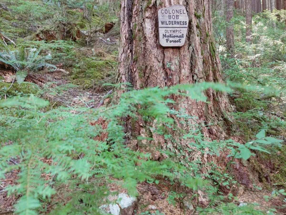 Graves Creek Camp Trail photo 4