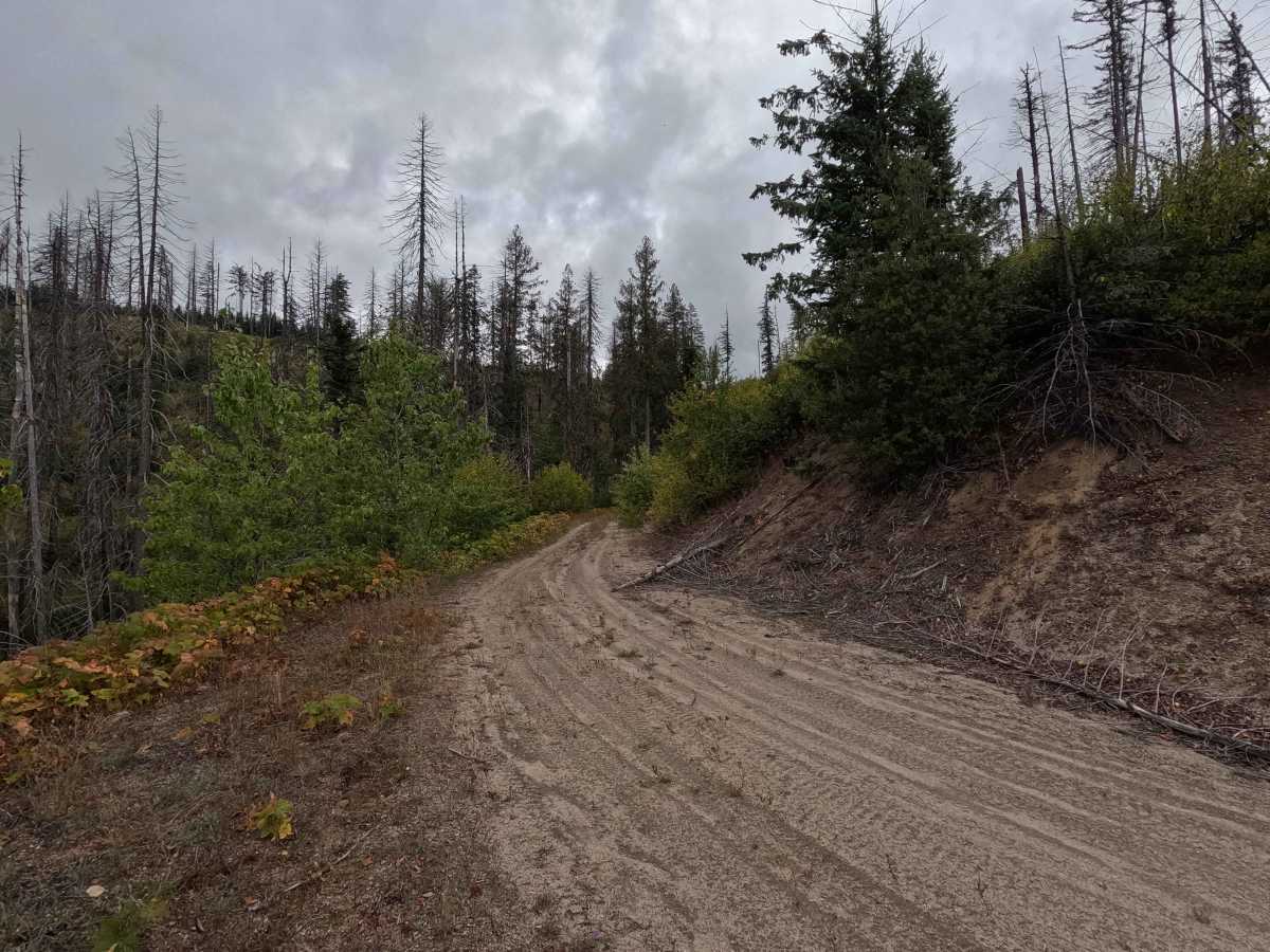 Solo Creek B - FS 659B photo 3