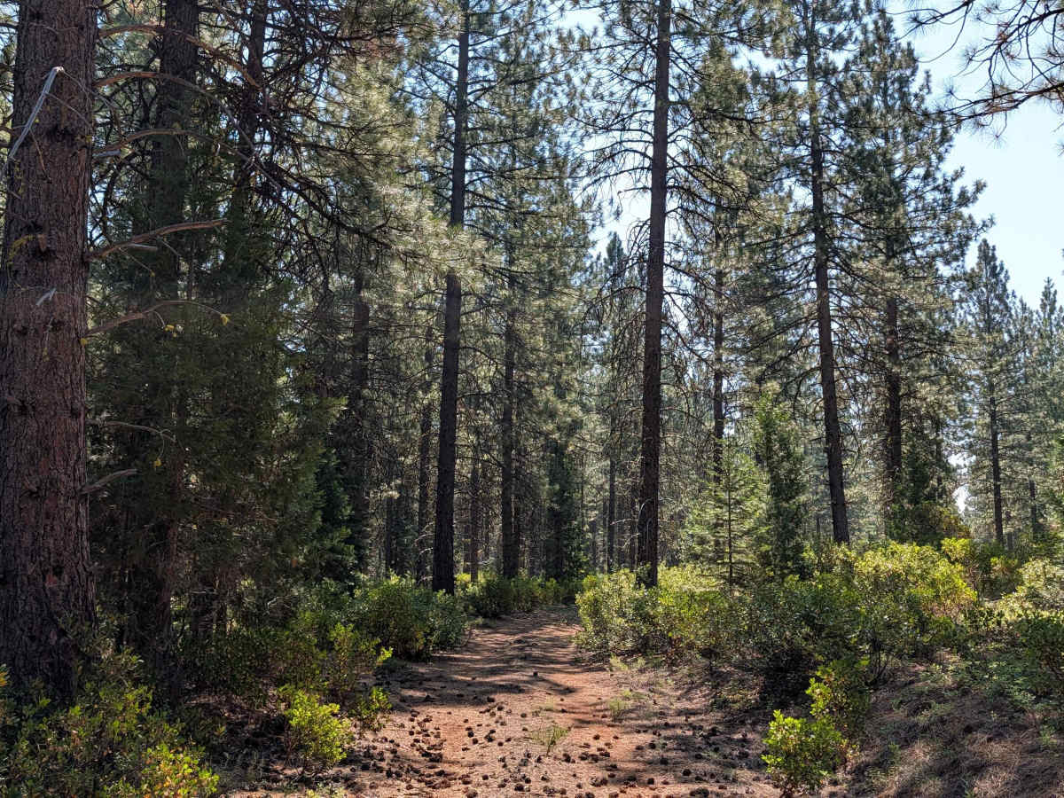 Porcupine Butte - FS 42N20 photo 2