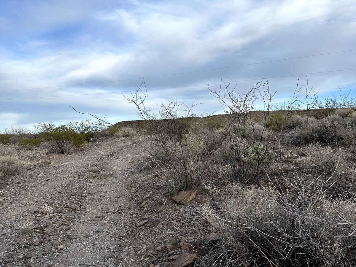 Papalote Nuevo Road trail photo