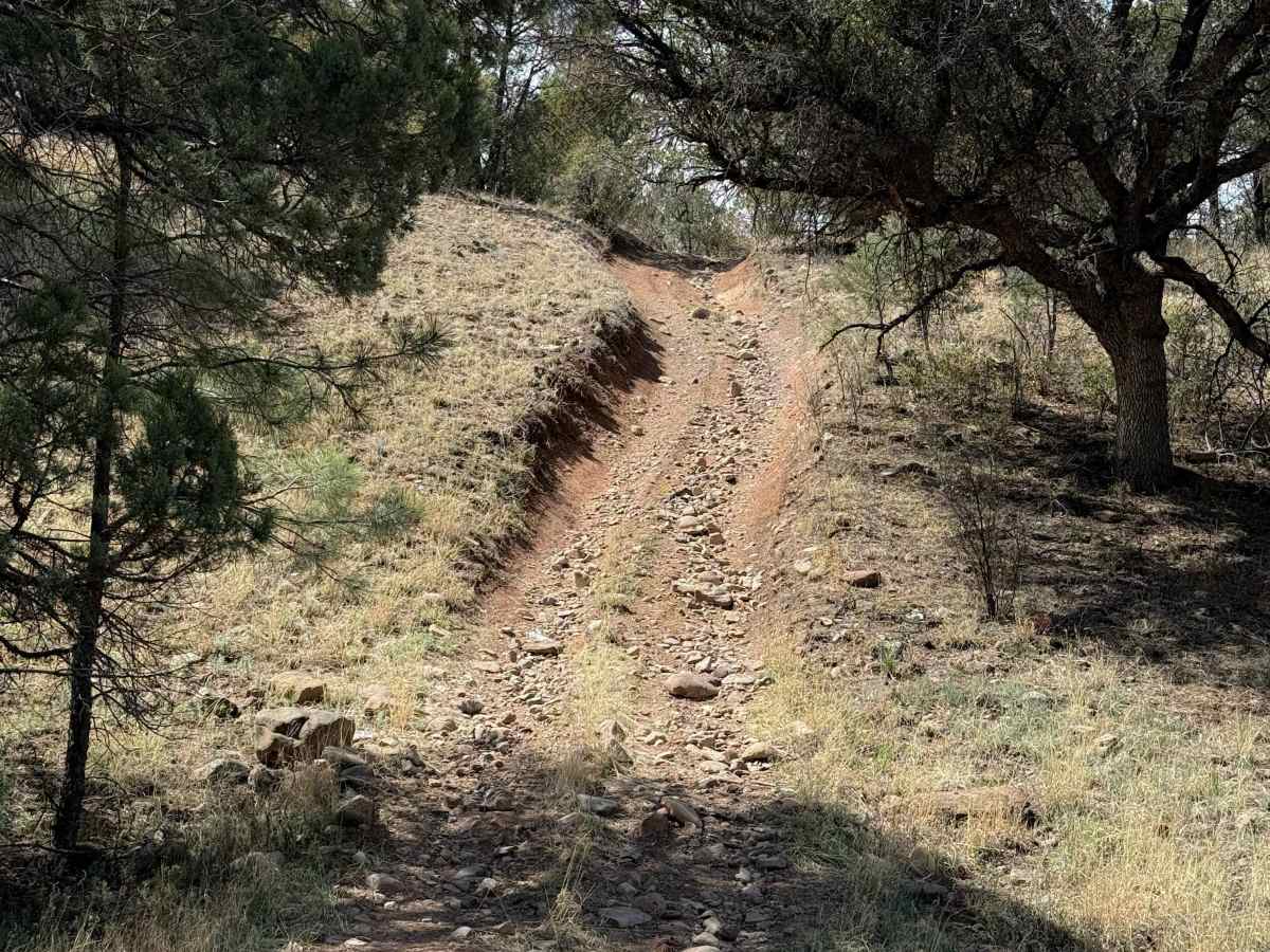 961 trail photo