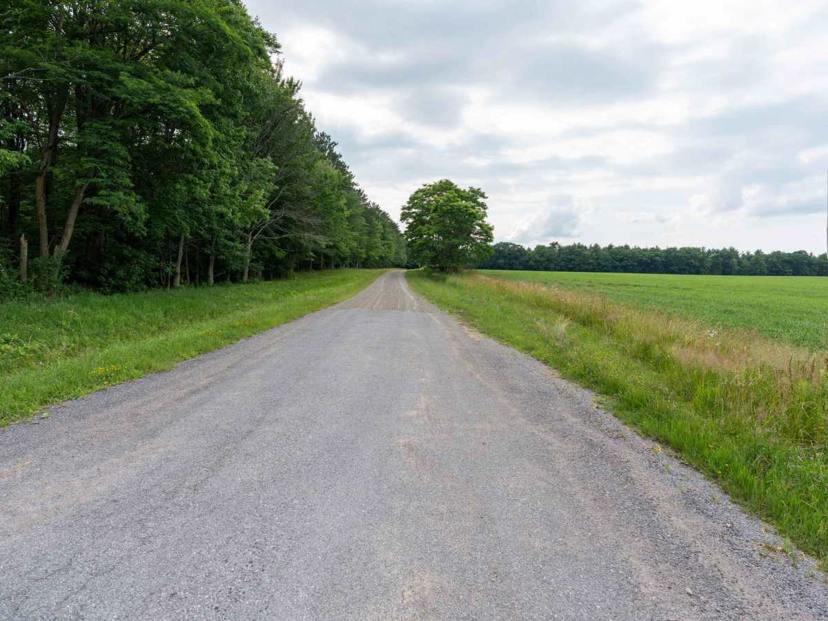 Blank Hill Road trail photo