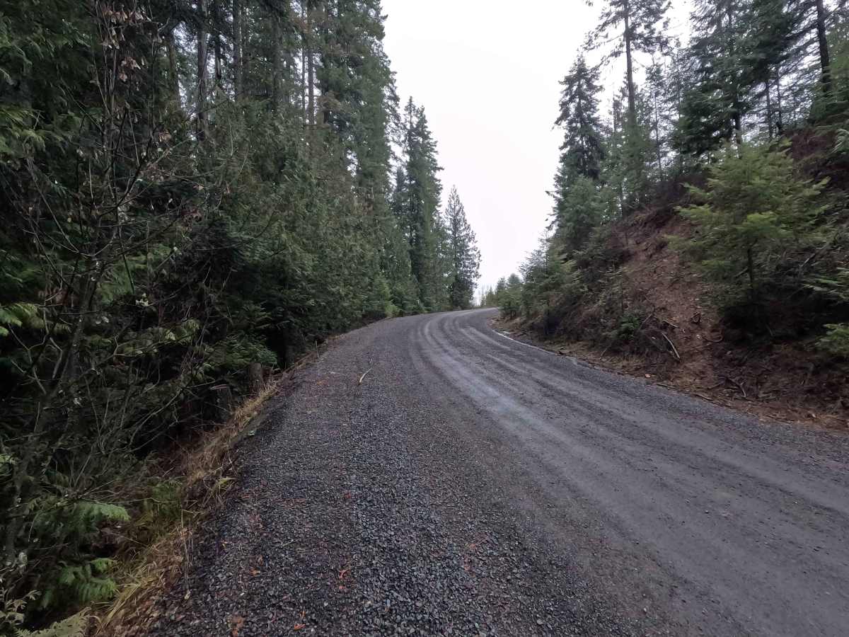 Brush Creek - Trail 289 photo 3
