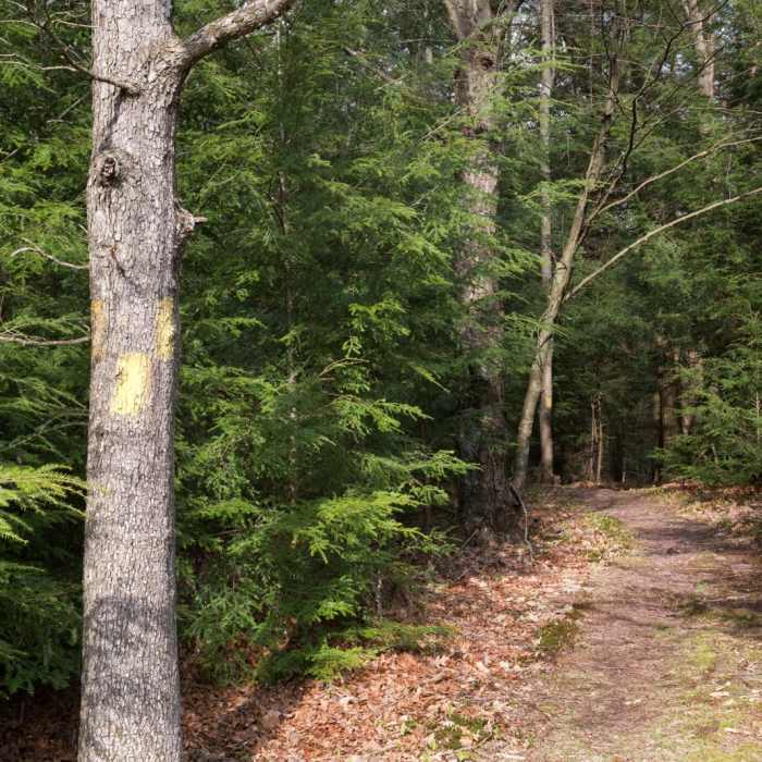 Near Lake View Trail Near Lake View Trail