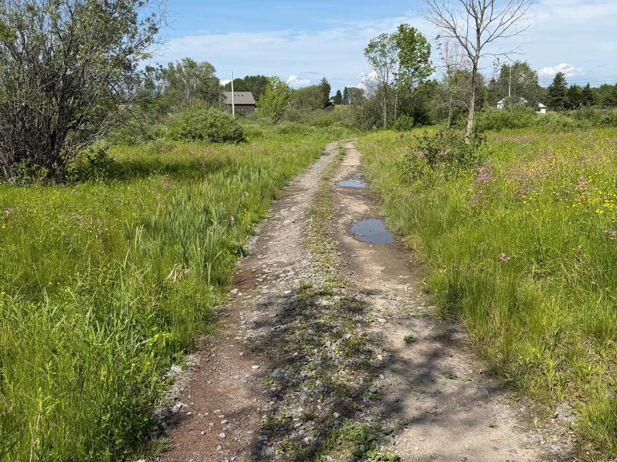 Zimmer Road Spur photo 2