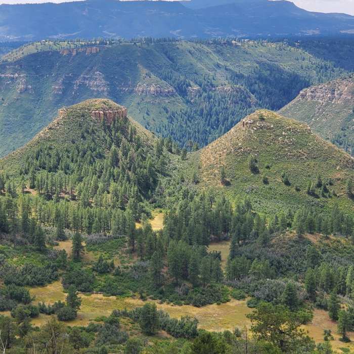 Near Perins Peak Trail