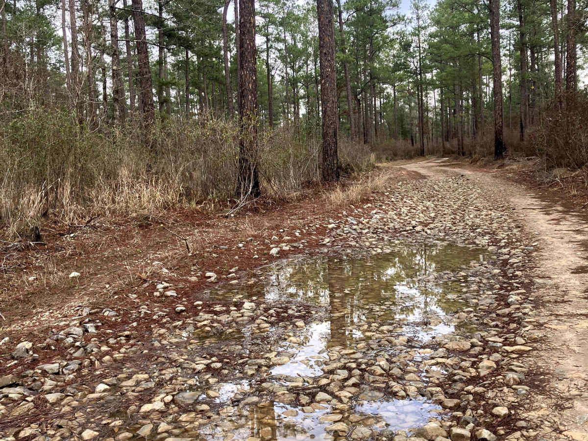 Bullard Church Road - SR 54 trail photo