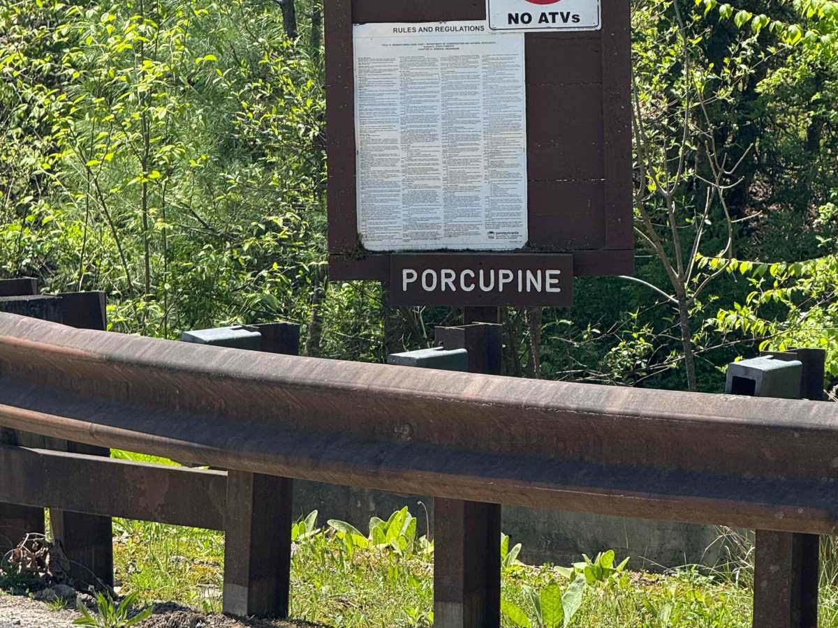 Porcupine Road trail photo