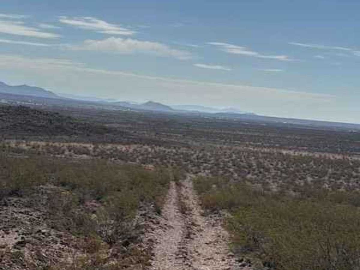 BLM PE1221 photo 3