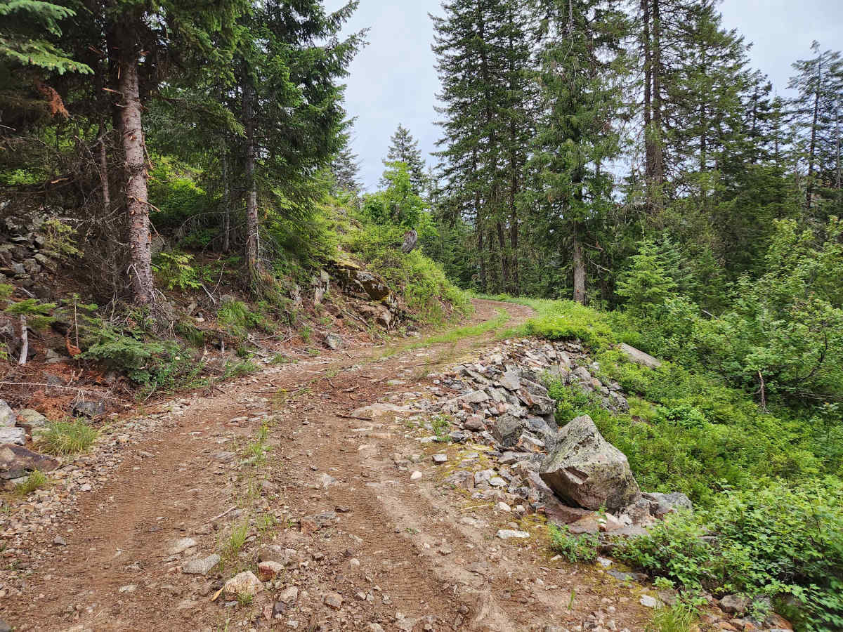 Gold Beaver Creek photo 5
