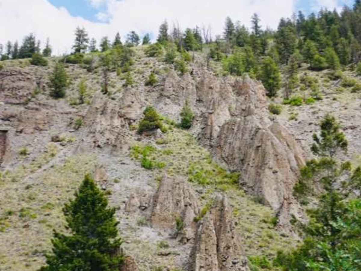 Red Creek photo 6