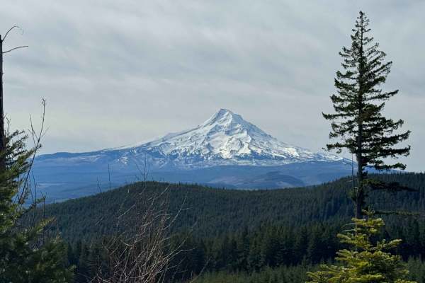 Larch Mountain Road