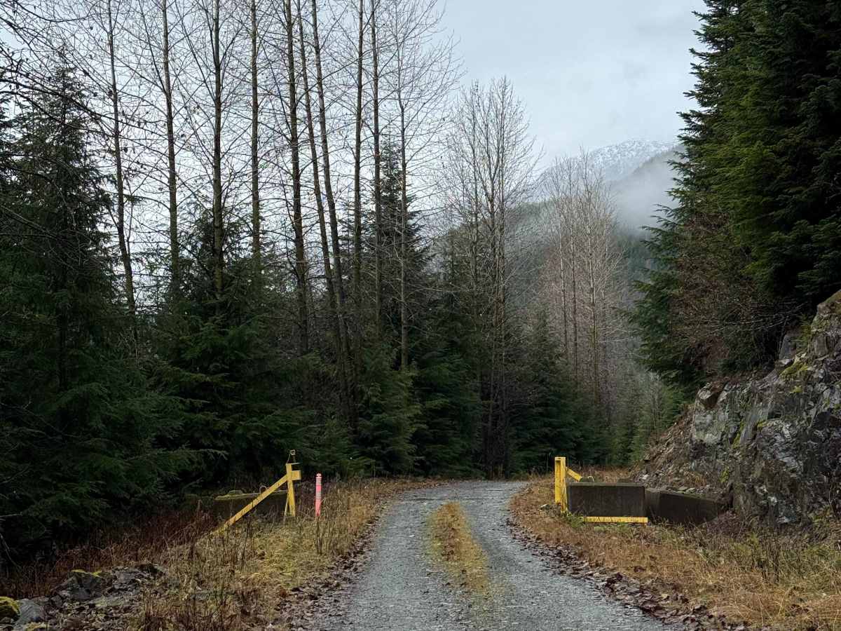 Hoult Creek Road photo 2