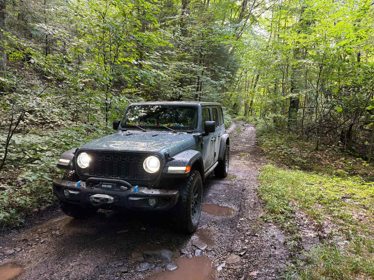 Hills Creek Road photo 4