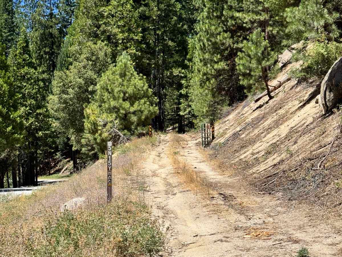 FS 5N15Y trail photo