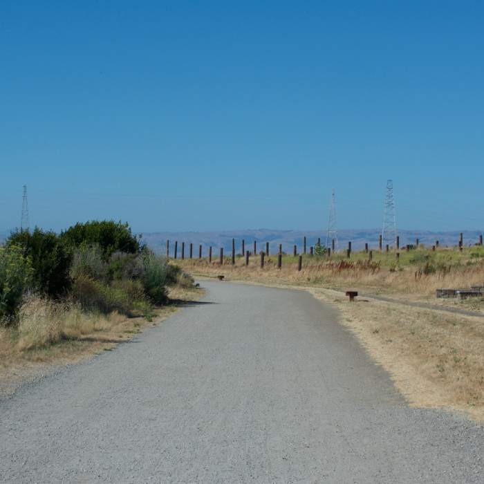 Near Adobe Creek Loop