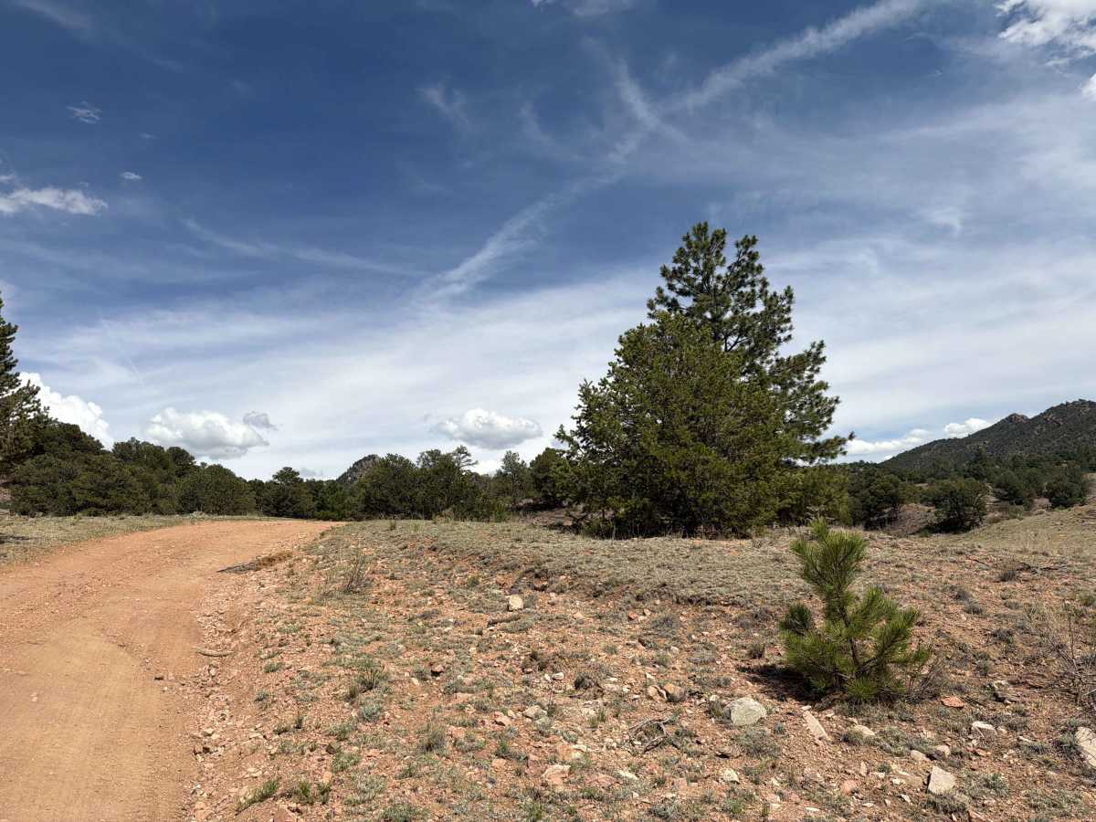 BLM 6161A photo 4