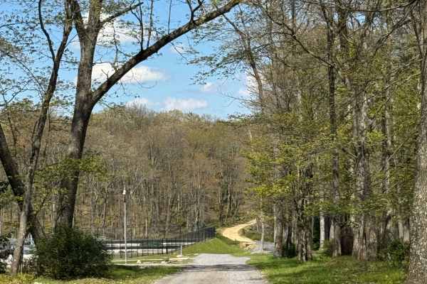 Marks Run Road