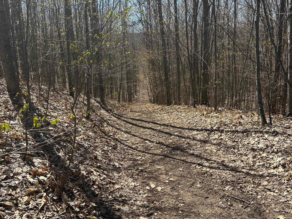 Hill Climb  photo 6