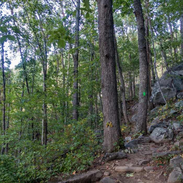 Near Yonah Mountain Near Yonah Mountain