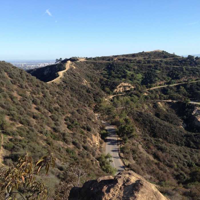Near Mt. Bell Out-and-Back