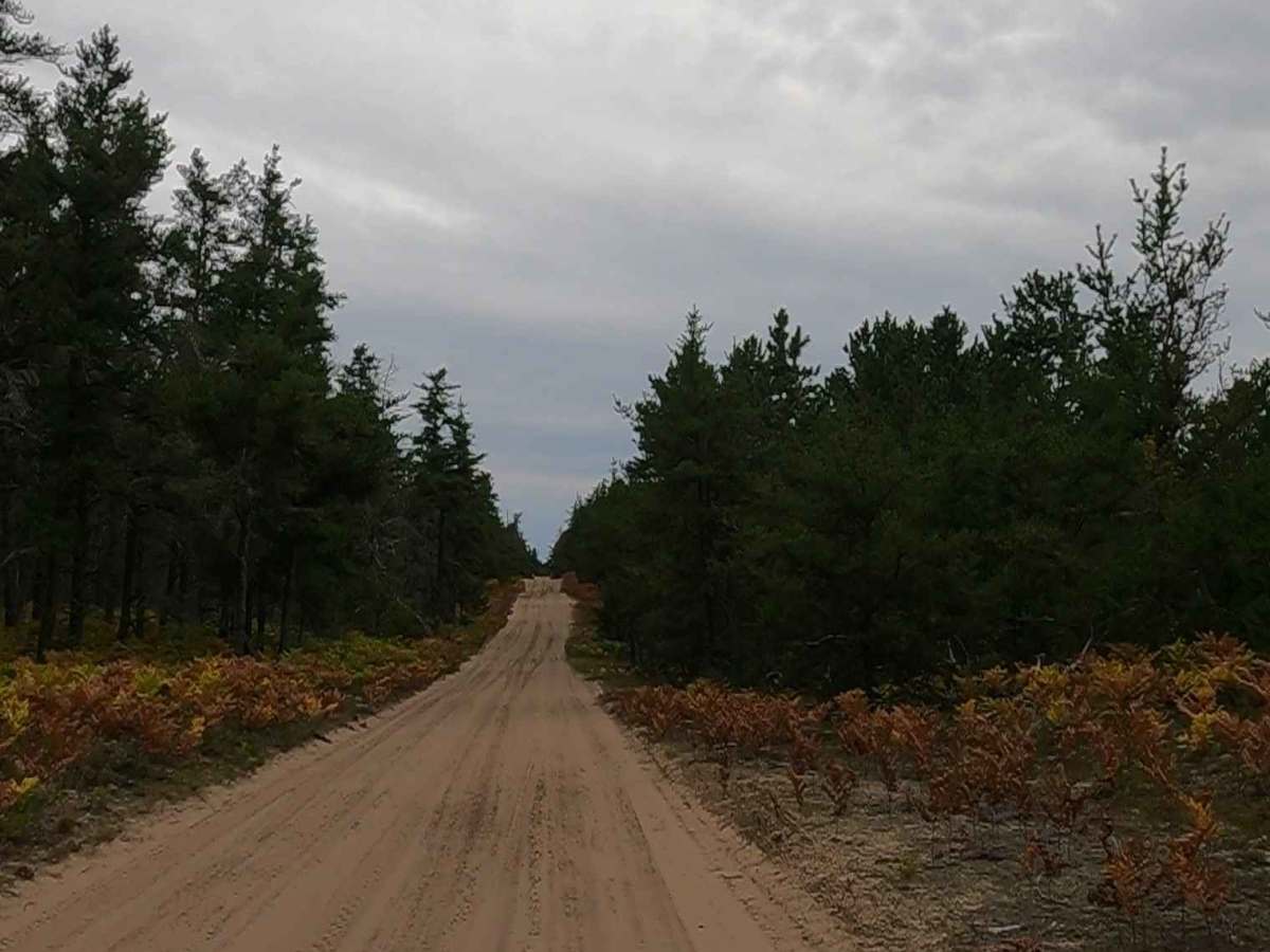 Middle Town - FS 3018 trail photo