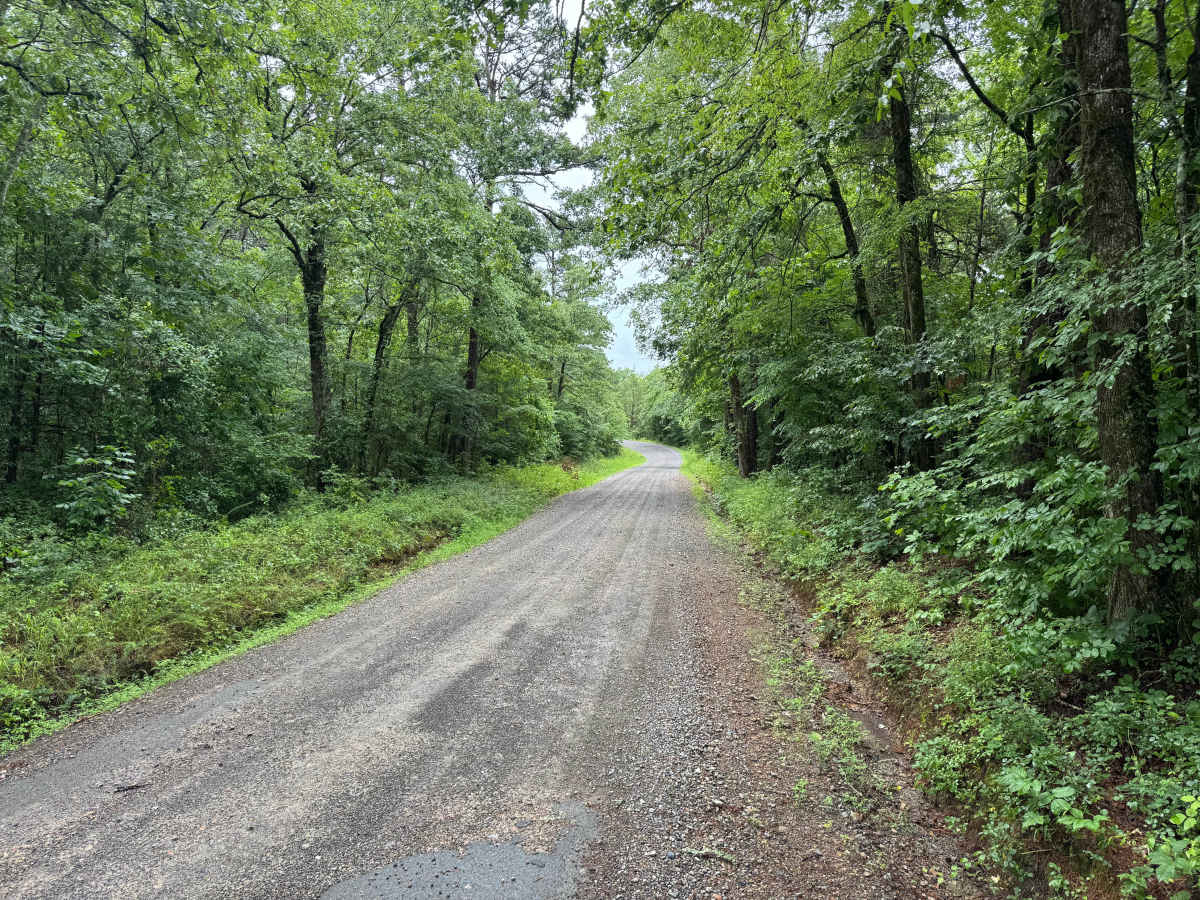 Gaston Road trail photo