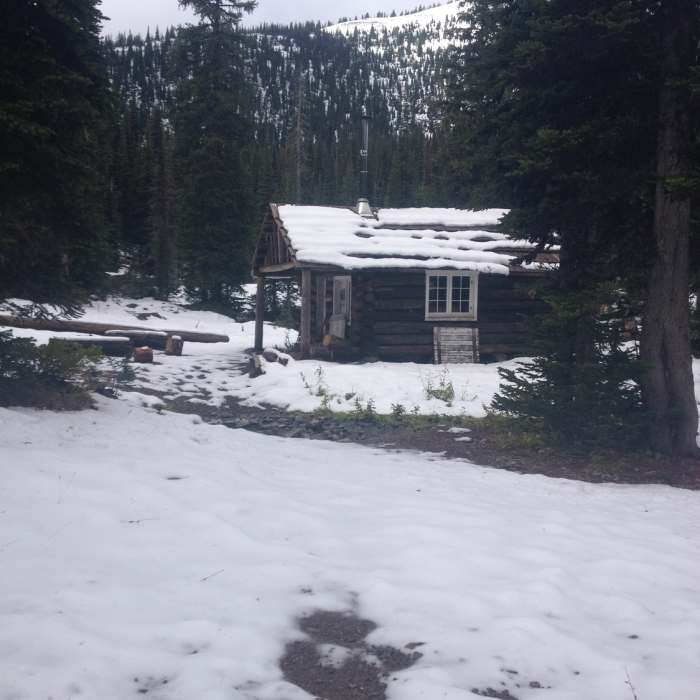 Near Wolverine Lakes Trail #84