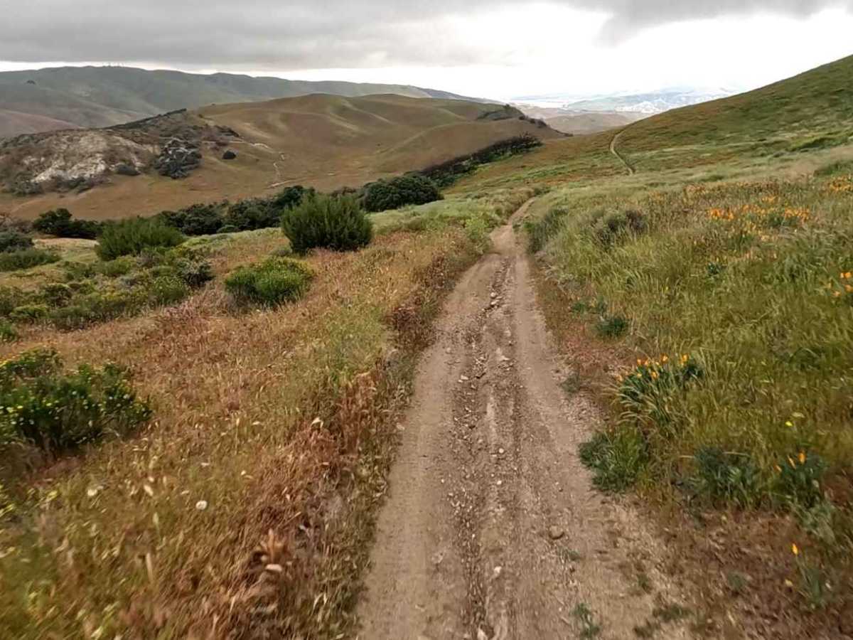 Upper Brome photo 4