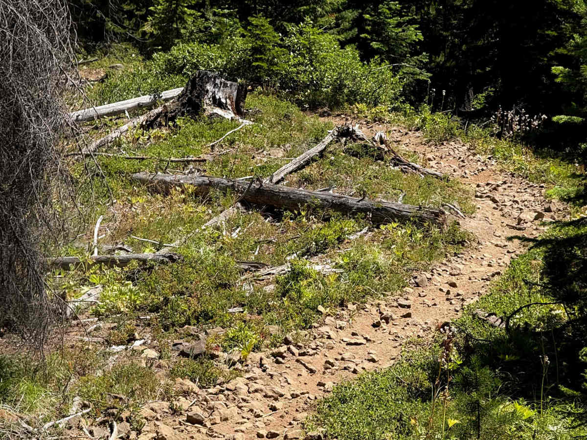 West Quartz Creek Loop - 952 photo 2