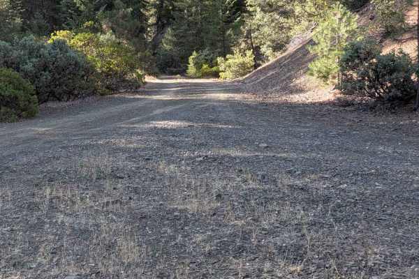 Rail Gulch Road - FS 2N11