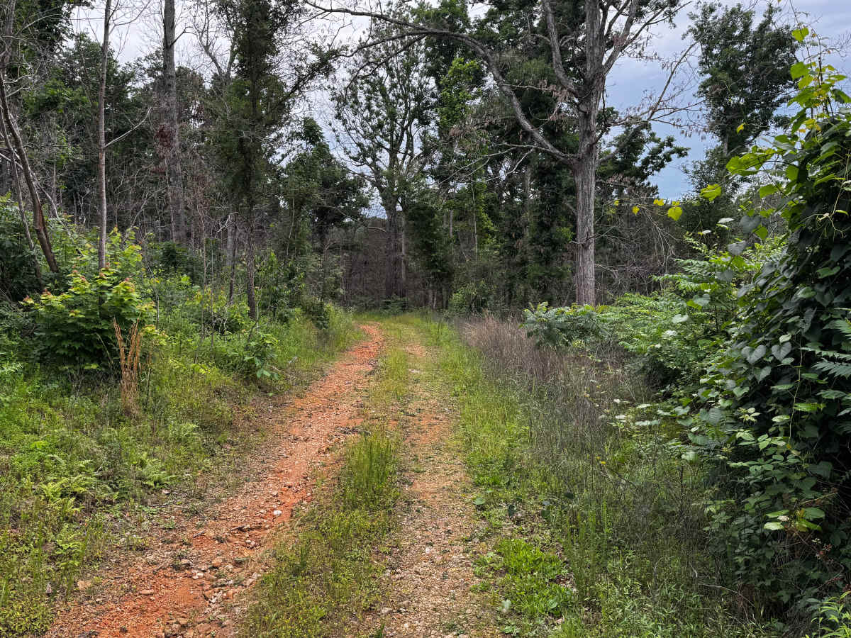 Hooper Hollow photo 2