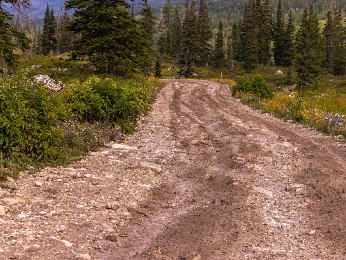 Mount Baldy Road photo 3