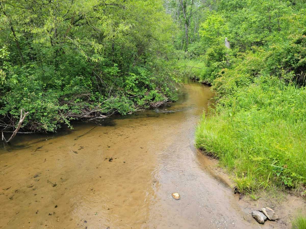 SE Little Manistee Route (344E) photo 5