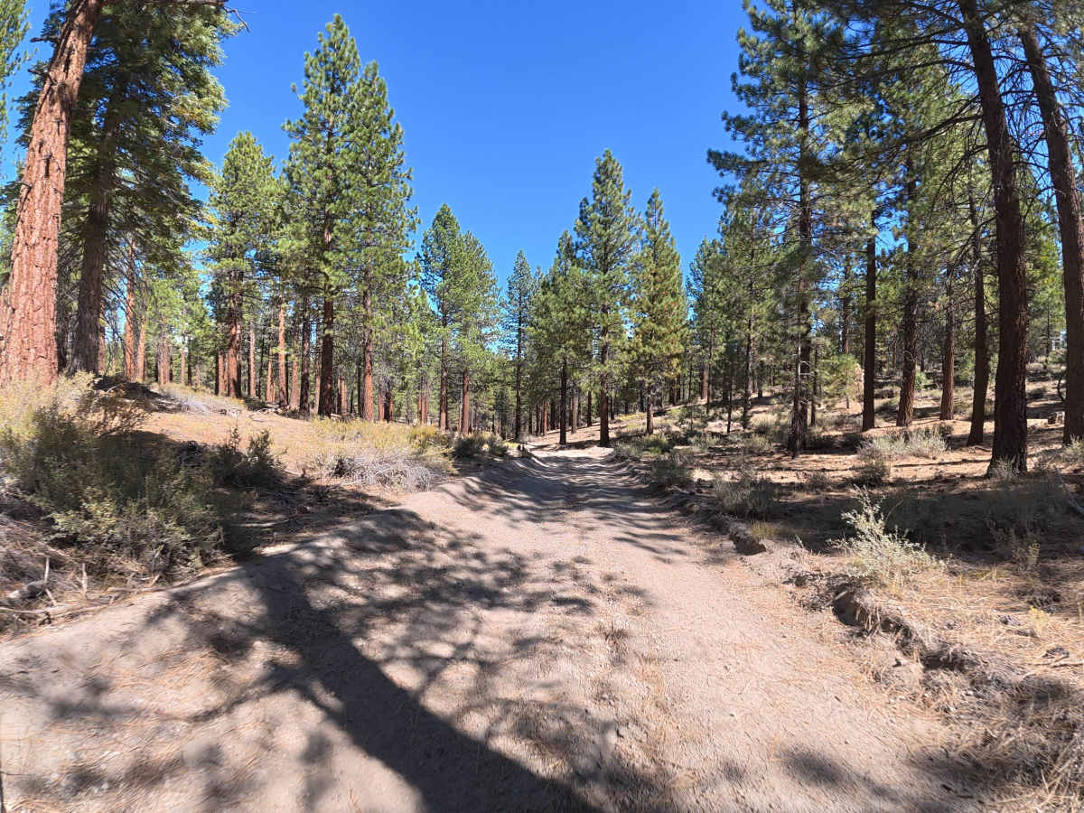 FS 3S24C trail photo