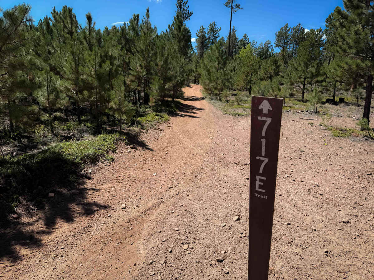 Wildhorn Spur 717E  photo 2