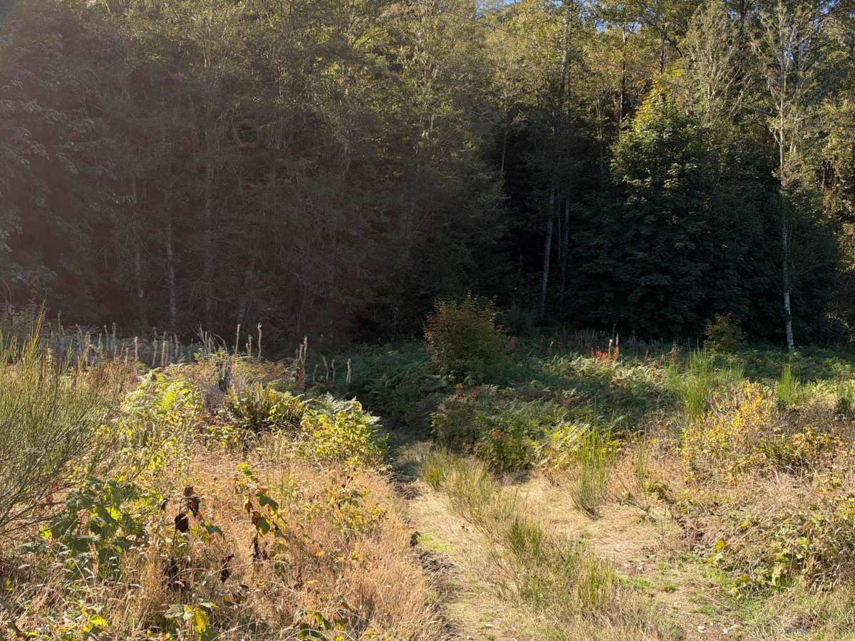 Powerline Loop photo 2