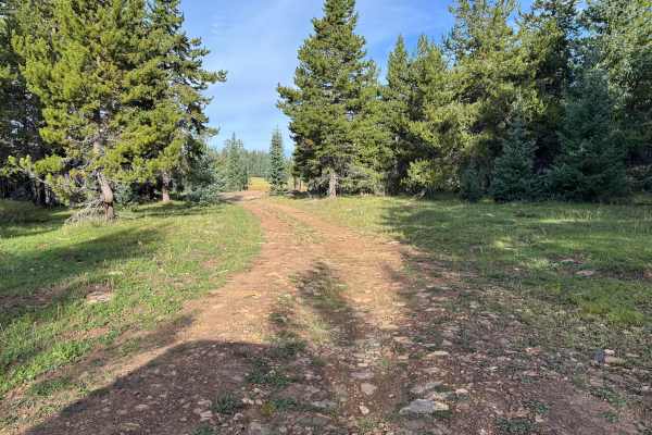 Taylor Creek J Road