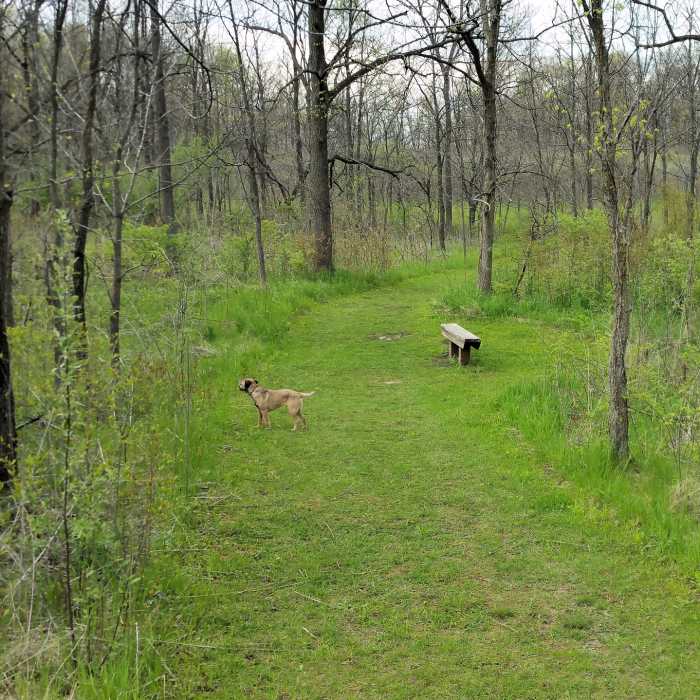 Bench at halfway point on Hiking/Ski trail Near Coral Woods Perimeter