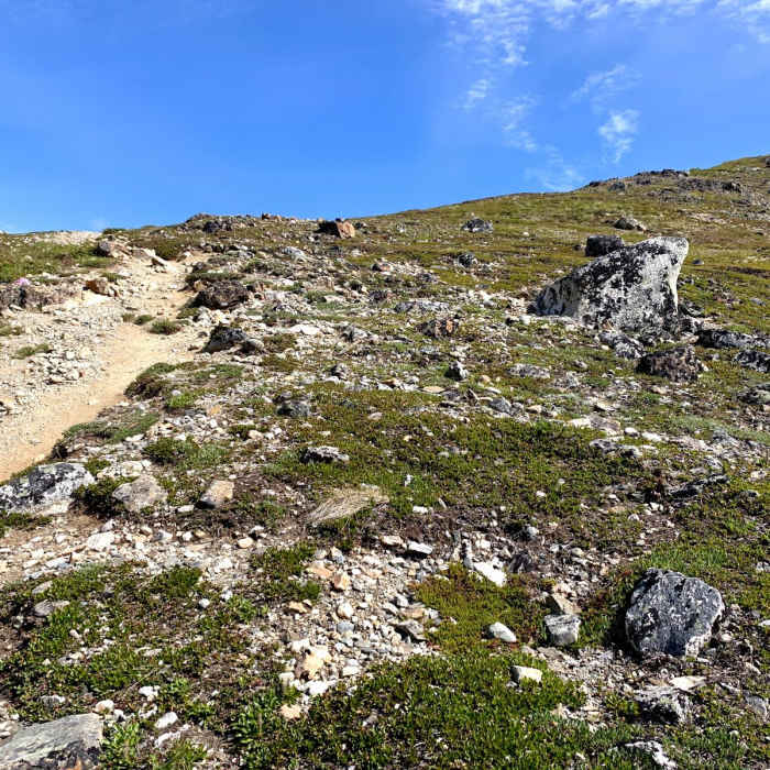 Near Near Point Near Near Point