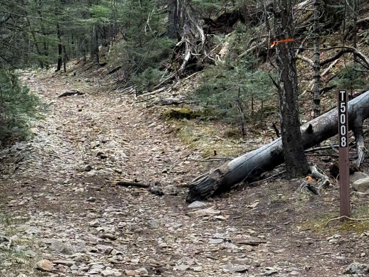 Wills Canyon - FS 5008  photo 5