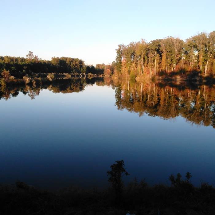 Near Kit Creek Loop