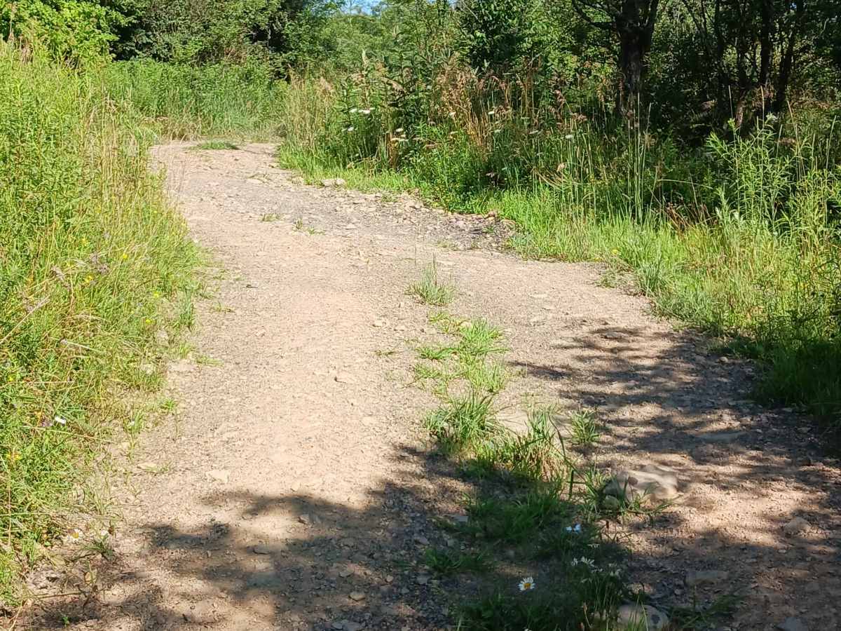 Trail 12O - Rock Run Recreation Area photo 4